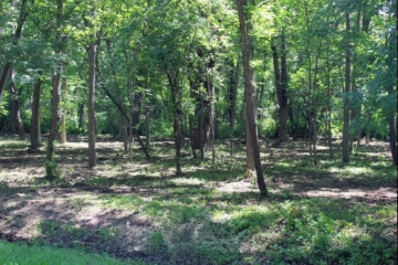 2 Wooded Lost Lake Lots!